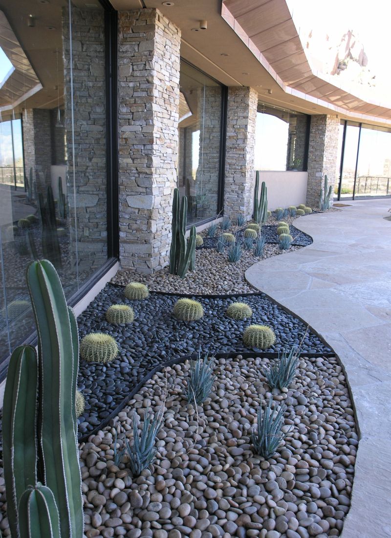Desert patio landscape with barrel and columnar cacti, blue agave and river rocks beside stone-columned glass facade