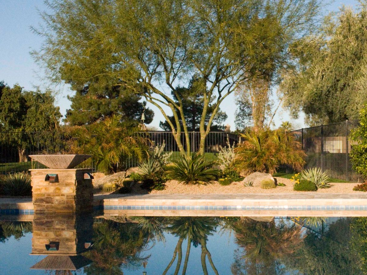 Backyard swimming pool reflecting mature desert landscaping with palo verde tree, stone planter and palm shrubs.