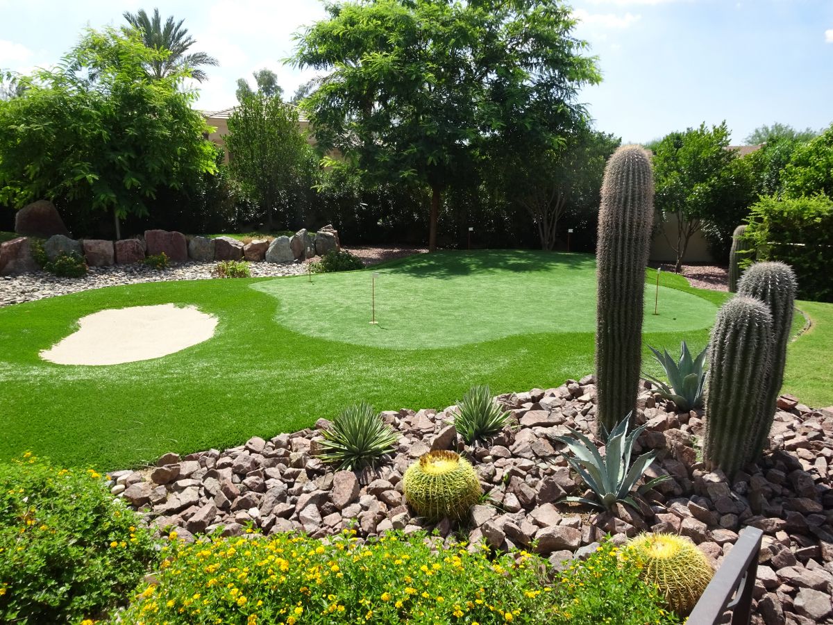 Backyard putting green with sand bunker, artificial turf and desert landscaping with tall cacti.