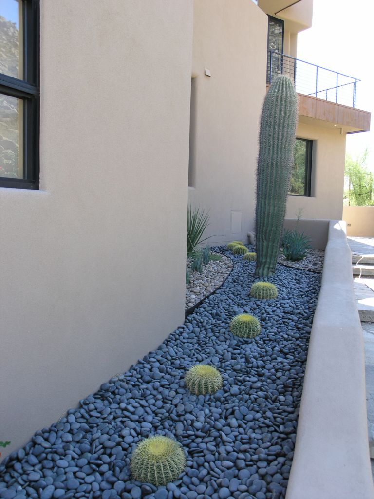 Desert landscaping with tall columnar cactus and golden barrel cacti on black river rock beside stucco home